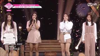 한초원 & 강혜원 & 유민영 & 박민지 - 널 너무 모르고 (PRODUCE48)