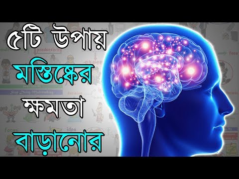 কিভাবে মস্তিষ্কের ক্ষমতা বাড়ানো সম্ভব | How to Increase Your Brain Power in Bangla
