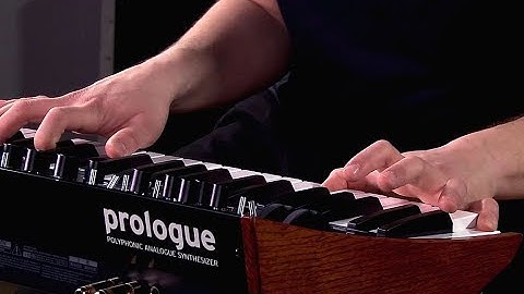 Korg Prologue - All Playing, No Talking!