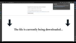 How to Download Software Installer File in Google Drive screenshot 2