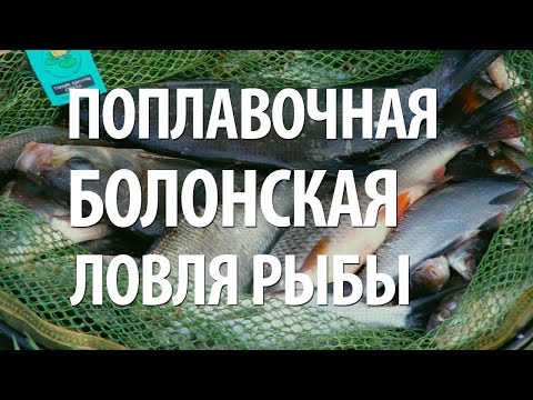 болонская поплавочная удочка для начинающих