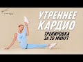 ЖИРОСЖИГАЮЩЕЕ КАРДИО в домашних условиях | тренировка для похудения