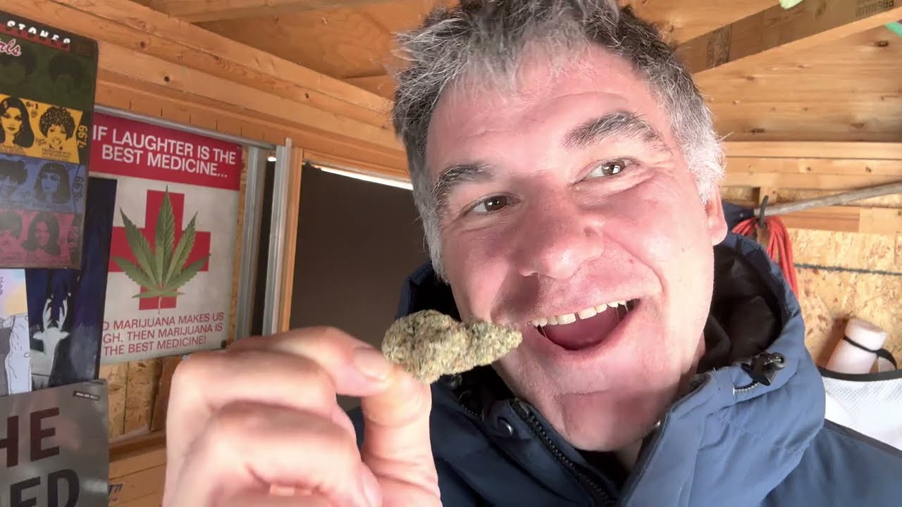 2023 01 15 Strains Limited Hectane 7g Bag of Awesome.