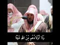 سورة آل عمران ماهر المعيقلي