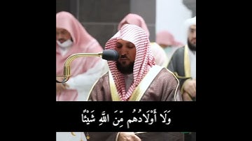 سورة آل عمران | ماهر المعيقلي
