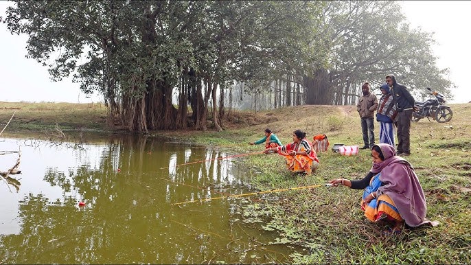 Traditional Hook Fishing#shorts 