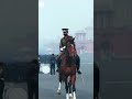 #indianarmedforces #indianarmy #lifeisbutadream #militarypowe #shortvideo