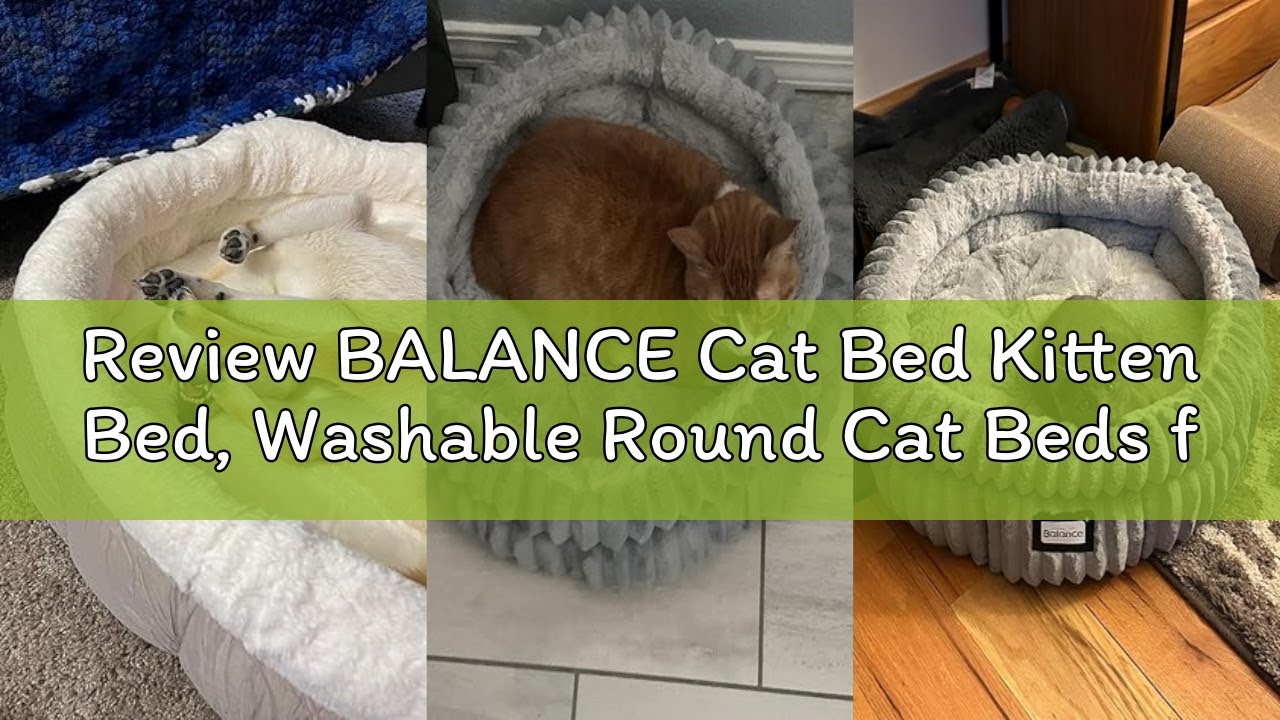 Review BALANCE Cat Bed Kitten Bed, Washable Round Cat Beds for Indoor Cats, Super Soft Plush Faux Fu