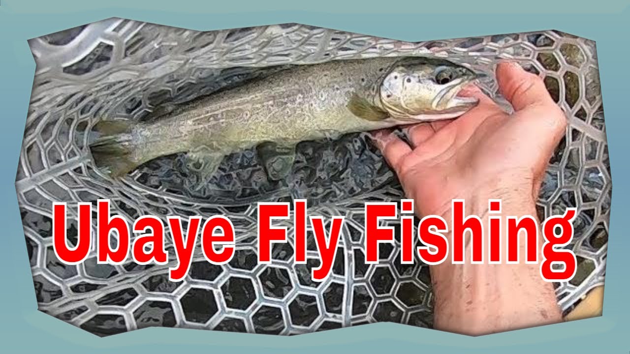 Peche à la mouche dans la vallée de l'Ubaye Fly fishing in french Alps