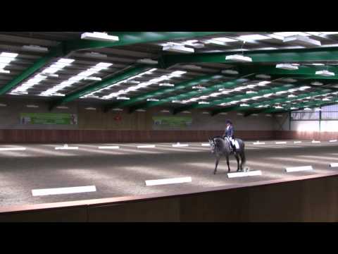 Sparky elementary dressage to music Moulton Colleg...