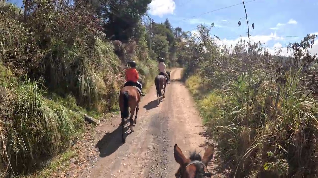 Centro Ecuestre Bellavista (Bellavista Equestrian Center), Cuenca, Pt.3