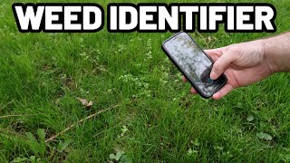 Easily Identify Weeds in Your Yard in SECONDS screenshot 2