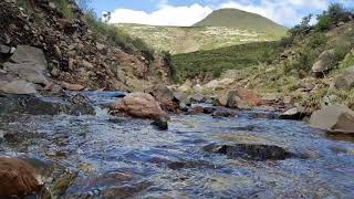 Rio Santa María Ajoloapan Picacho