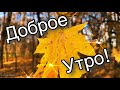 С Добрым Утром понедельник! 🍂 Ноябрьское поздравление 💝