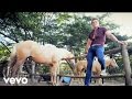 André Polonca - O Melhor De Você