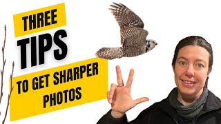 3 tips to get sharper photos