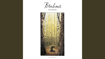 String Quartet No. 1 in C Minor, Op. 51 No. 1: IV. Allegro