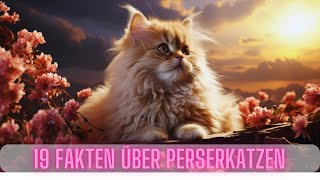 19 Interessante Fakten über Perserkatzen  Passt eine Perserkatze zu mir?