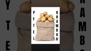 Pytel Brambor (oficiální song)