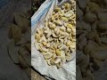 ଆମ୍ବ ଆଚାର 🙏||🥭Aam achar || #shorts #odisha ...