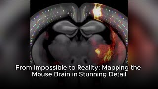 From Impossible to Reality: Mapping the Mouse Brain in Stunning Detail