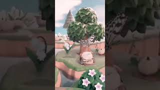 🌿Sunken Pathway🌿 #acnh #sunken #springcore #acnhcommunity #elegantcore #overgrown #animalcrossing