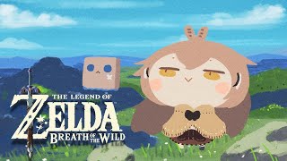 【The Legend of Zelda: BOTW】I Am Playing The Legend of Zelda: BOTW #5