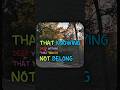 Are you set apart by God ##kathrynkuhlman #Jesus #Holyspirit #God #shorts #reels