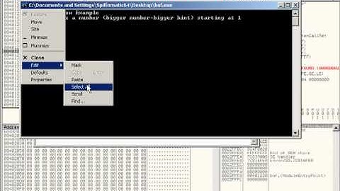 Buffer Overflow Demo