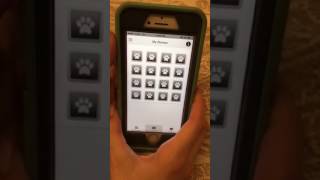 Southwest Animal Hospital App screenshot 2