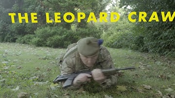 ACF  Movement in the Field