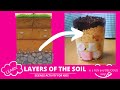 Fun and Delicious Soil Layers Quiz