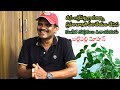 Ballepalli mohan music director  singer interview