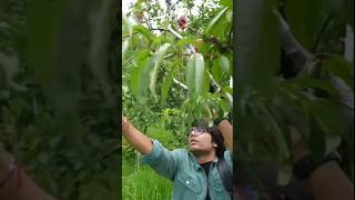 Sourav Ne Thoda Apple #vlog #shorts #trending #viral
