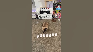 Cards Against Humanity