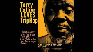 TERRY CALLIER LOVES TRIP HOP – 9. MASSIVE ATTACK Ft. TERRY CALLIER – Live With Me (2006)