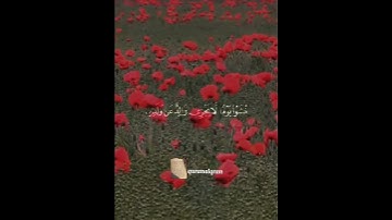 سورة لقمان القارئ #ياسر_الدوسري ‎@islam_sobhi ‎@Sonic_islami#فلسطين#السعودية#المغرب#الجزائر#مصر#تونس