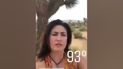 My Magical Glamping Trip to Joshua Tree