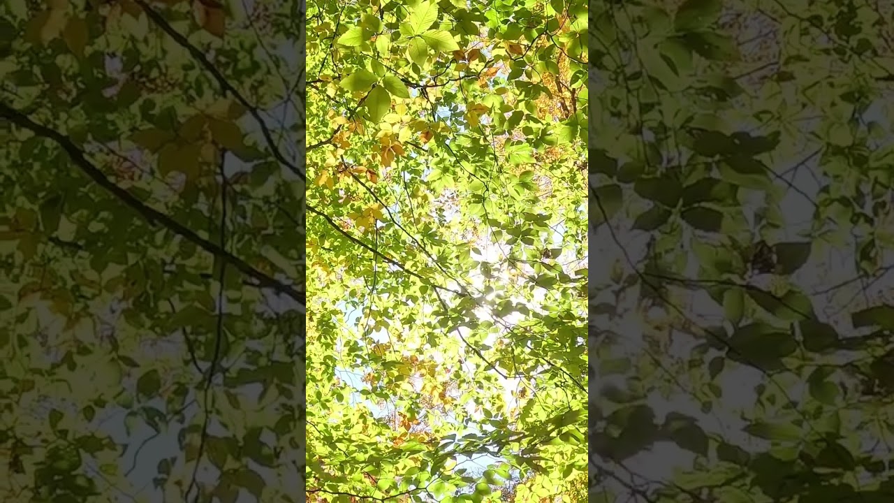 Backpacking in the Fall 