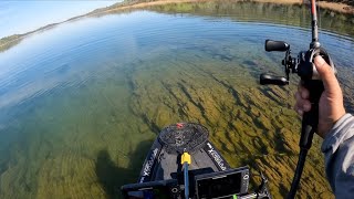 This Was Totally Unexpected Yagb Pardee Day 2