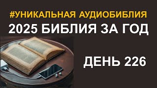 День 226.   Библия за год.  Библейский ультрамарафон портала «Иисус»