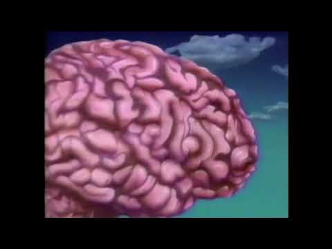 1991 Mr  Wizard's World Opening Theme Song