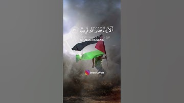 ألا إن نصر الله قريب || سورة البقرة #ناصر_القطامي