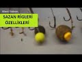 Best carp rigs sazan rigleri ve zellikleri carp rig