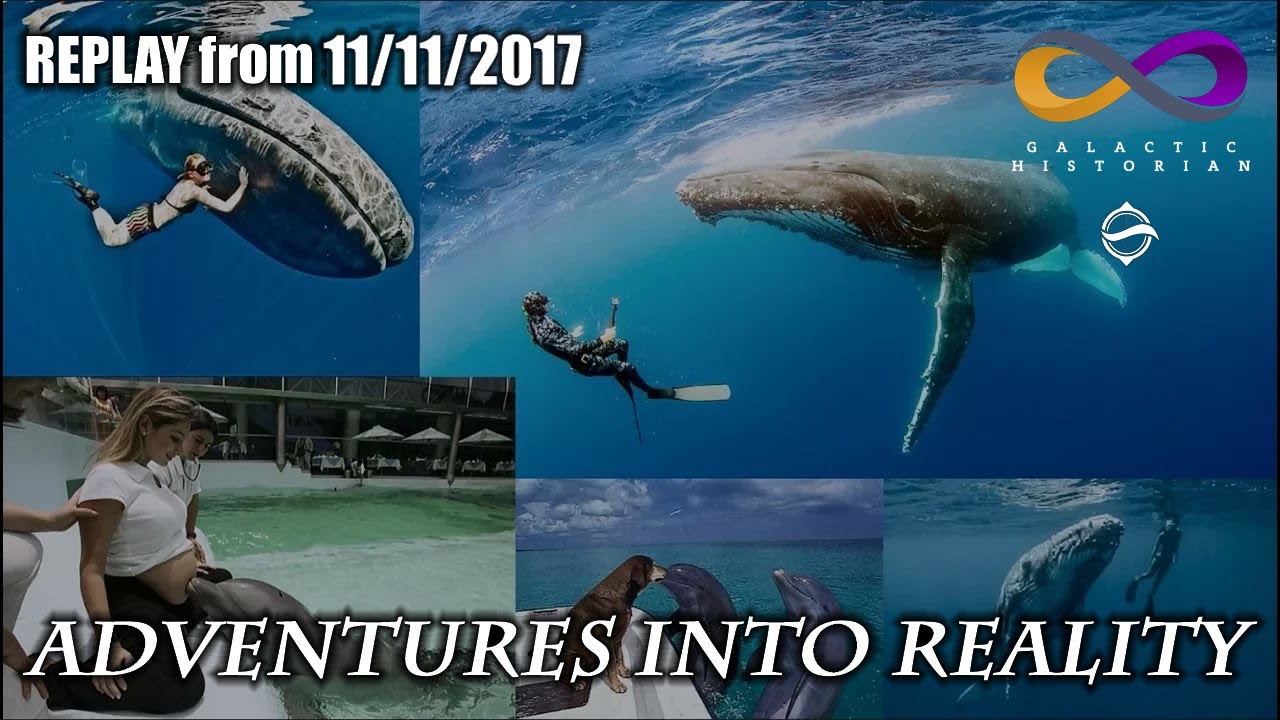 Adventures Into Reality REPLAY  Whales Pt1 - Their Roles On Earth and in the Universe