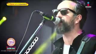 Molotov Logró Hacer Su Concierto Pese A Robo Sale El Sol