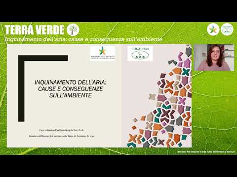 "Terra Verde" - Inquinamento dell&rsquo;aria: cause e conseguenze per l&rsquo;ambiente - Avv. Venere Ografo