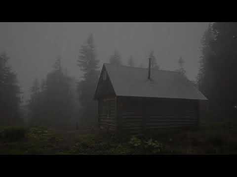 წვიმის ხმა სახურავზე ნისლიან ტყეში ძილისთვის/Шум Дождя по Крыше в туманном лесу для сна(SS MUSIC TV)