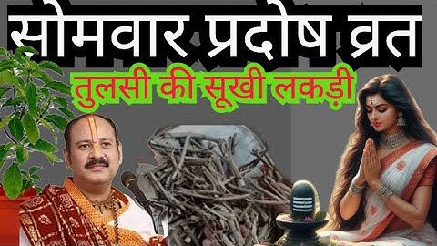 3 नवंबर 2025 सोमवार प्रदोष व्रत के दिन तुलसी की सूखी लकड़ी वाला उपाय जरूर करें पंडित प्रदीप मिश्रा