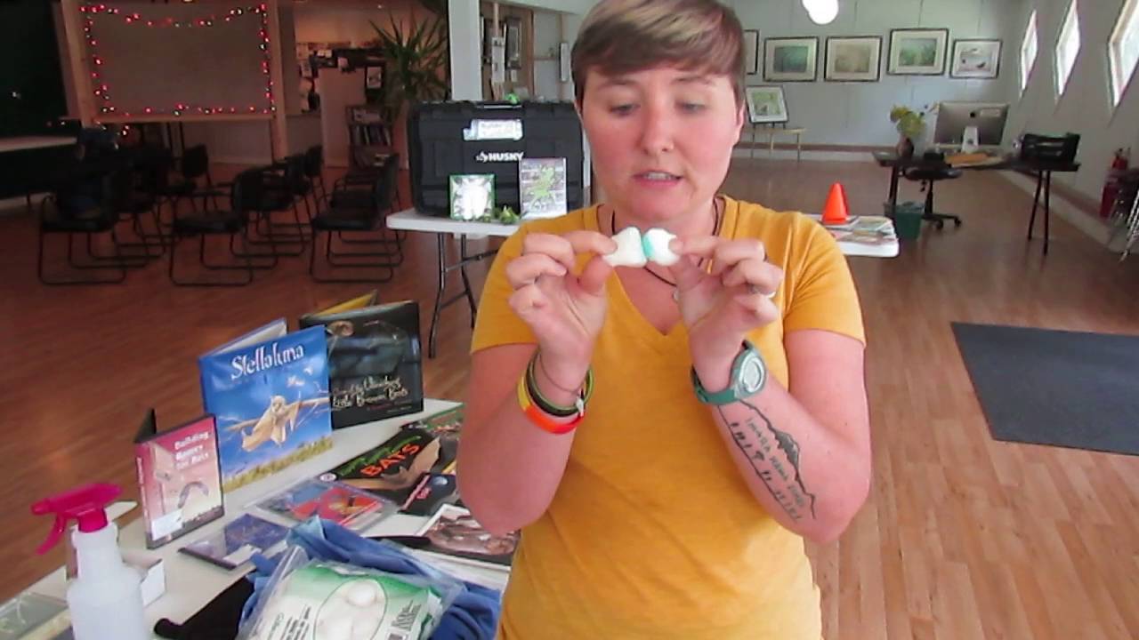 OWCC’s Nature Exploration Kits - Batty for Bats